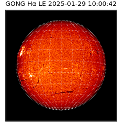 gong - 2025-01-29T10:00:42