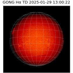 gong - 2025-01-29T13:00:22