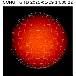 gong - 2025-01-29T14:00:22