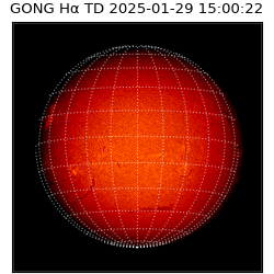 gong - 2025-01-29T15:00:22