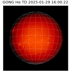 gong - 2025-01-29T16:00:22