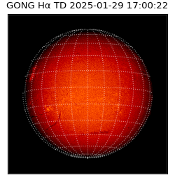gong - 2025-01-29T17:00:22