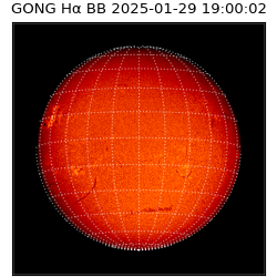 gong - 2025-01-29T19:00:02
