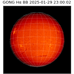 gong - 2025-01-29T23:00:02
