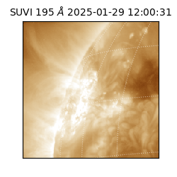 suvi - 2025-01-29T12:00:31.206000
