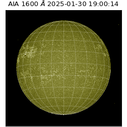 saia - 2025-01-30T19:00:14.125000