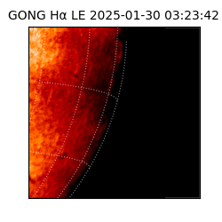 gong - 2025-01-30T03:23:42