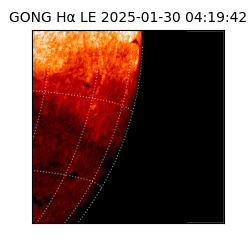 gong - 2025-01-30T04:19:42