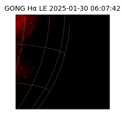 gong - 2025-01-30T06:07:42