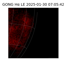 gong - 2025-01-30T07:05:42