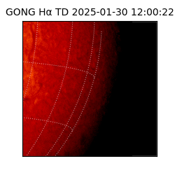 gong - 2025-01-30T12:00:22