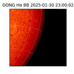 gong - 2025-01-30T23:00:02