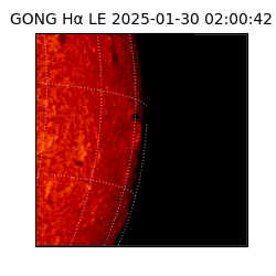 gong - 2025-01-30T02:00:42