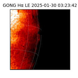 gong - 2025-01-30T03:23:42