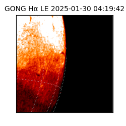 gong - 2025-01-30T04:19:42