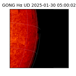 gong - 2025-01-30T05:00:02