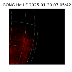 gong - 2025-01-30T07:05:42
