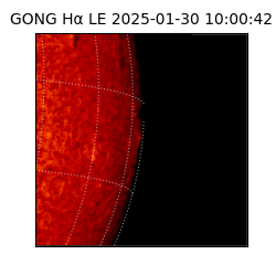 gong - 2025-01-30T10:00:42