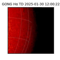 gong - 2025-01-30T12:00:22