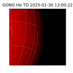 gong - 2025-01-30T13:00:22