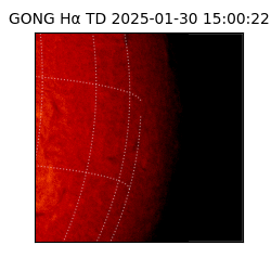 gong - 2025-01-30T15:00:22