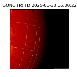 gong - 2025-01-30T16:00:22
