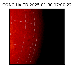 gong - 2025-01-30T17:00:22