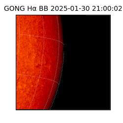 gong - 2025-01-30T21:00:02