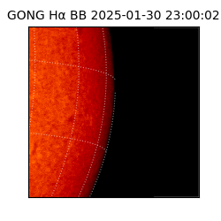 gong - 2025-01-30T23:00:02