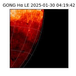 gong - 2025-01-30T04:19:42