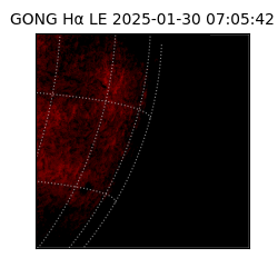 gong - 2025-01-30T07:05:42