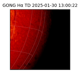 gong - 2025-01-30T13:00:22