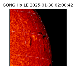 gong - 2025-01-30T02:00:42