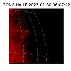gong - 2025-01-30T06:07:42