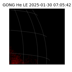 gong - 2025-01-30T07:05:42