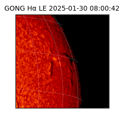 gong - 2025-01-30T08:00:42
