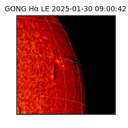 gong - 2025-01-30T09:00:42