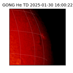 gong - 2025-01-30T16:00:22