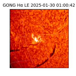 gong - 2025-01-30T01:00:42