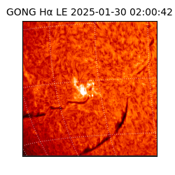 gong - 2025-01-30T02:00:42