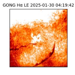 gong - 2025-01-30T04:19:42