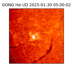 gong - 2025-01-30T05:00:02