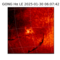 gong - 2025-01-30T06:07:42