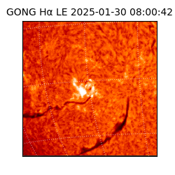 gong - 2025-01-30T08:00:42