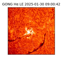 gong - 2025-01-30T09:00:42