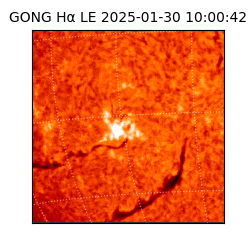 gong - 2025-01-30T10:00:42