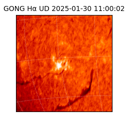 gong - 2025-01-30T11:00:02