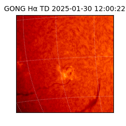 gong - 2025-01-30T12:00:22