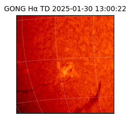 gong - 2025-01-30T13:00:22