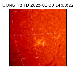 gong - 2025-01-30T14:00:22